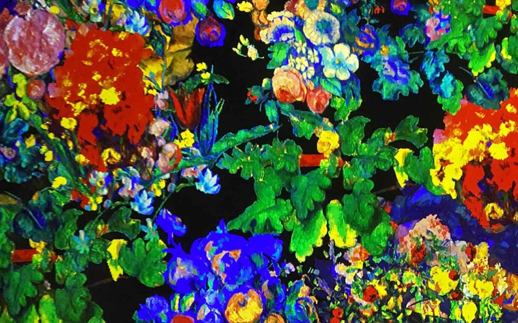 Website laten maken Assen - WordPress webdesign